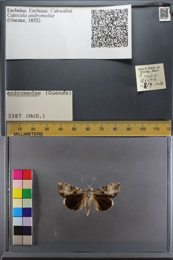 Media type: image;   Entomology 749781